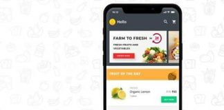 DailyNinja Raises $3 Million Funding & Other Startup News That You Need To Know DailyNinja Funding Startup News Update