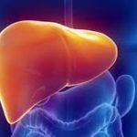 LIVER