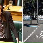 NZ passes zero carbon