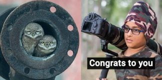 This 10-Yr-Old From Jalandhar Won The Young Wildlife Photographer Of The Year 2018 Award