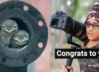 This 10-Yr-Old From Jalandhar Won The Young Wildlife Photographer Of The Year 2018 Award