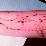 blue-wale-suicide-game_759