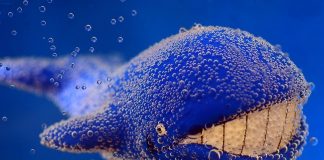 Blue Whale Challenge Mastermind Finally Behind Bars!