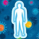 immune system coronavirus