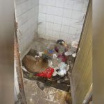 dog_raped_mumbai_15054812