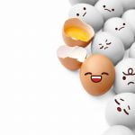 eat eggs