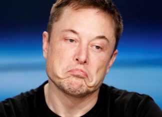 Elon Musk Tesla India