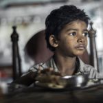 lion-sunny-pawar