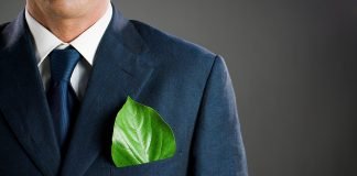 Top Reasons Why Every Entrepreneur Should Go Eco-Friendly In Business Right Now!
