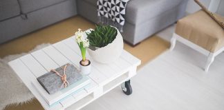 What Are The Important Things That Successful People Have In Their Home?