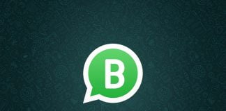 All You Need To Know About The New WhatsApp Business App And Its Features!